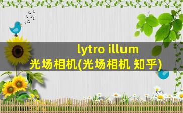 lytro illum 光场相机(光场相机 知乎)